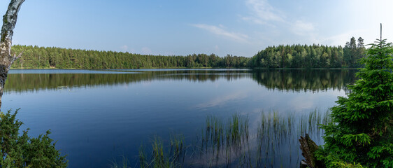 panorama landscape of lush green summer forests with a calm and picturesque lake in the wilderness