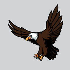 Fototapeta na wymiar Bald Eagle Mascot on Isolated Background
