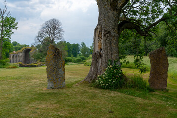 large obelisk boulders with the ruins of the Alvastra Abbey in the background