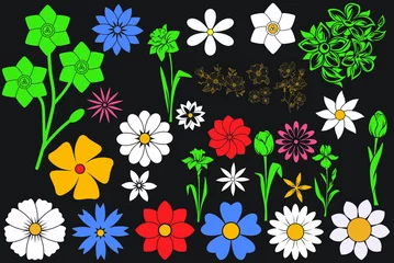 Rolgordijnen Vector flower illustration art, graphics flowers icons set. vintage vector flower clipart, vector flowers flat style artwork design © T-shirt_Design_62