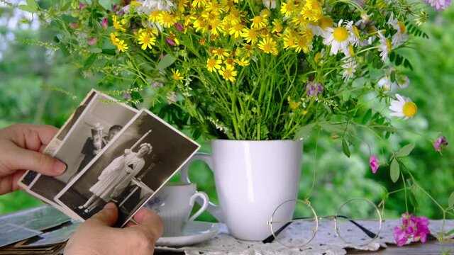 female hands going through old photos of 50s, 40s, bouquet of wildflowers, handmade lacy, cup of tea on table in garden, concept of genealogy, memory of ancestors, family tree, childhood memories