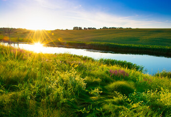 Beautiful summer landscape, beautiful view of the lake, surrounded by meadows and green forest. Blue sky over plain, nature, background