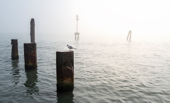 Sehensw&uuml;rdigkeiten und andere Attraktionen in Venedig