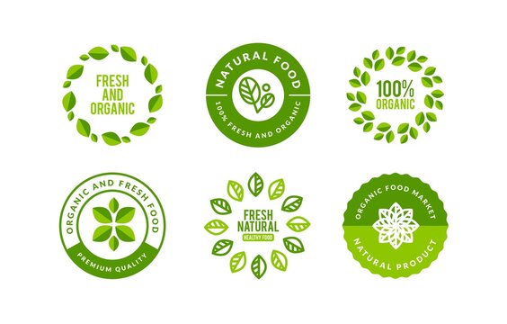 organic and nature logo template design