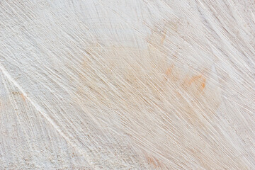 Slice of wood timber background.
