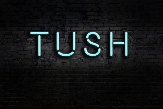 Night view of neon sign on brick wall with inscription tush