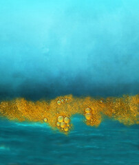 Graphic design elements - Wall paper, textile design, pattern, texture, background, interior, art print, interior, print on demand, packaging, package design, label