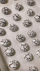 cocoa cookies