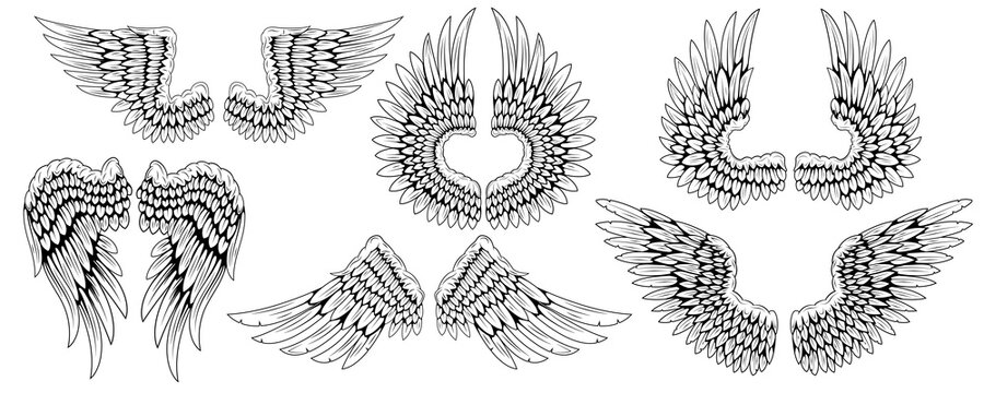 Angel wings. Bird wings. Design element for tattoo. Element for the logo. Set of vintage wings.