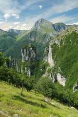 Panorama Apuane. Apuan Alps mountains with flower in the foreground.Monte Corchia, Pania della...