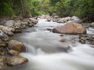 Slow motion timelapse of river and forest in Podocarpus National Park, Ecuador