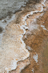 Beauty Pool, Thermophilic bacterial mats, Yellowstone National Park