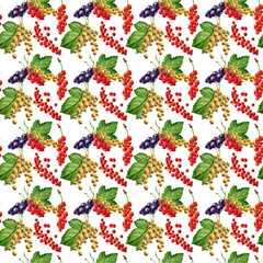 Watercolor seamless pattern with black, red and white currant on white background. Hand-painted.