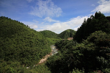 forested  hills with clear blue skies and streams gushing through 