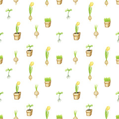 Watercolor gardening seamless pattern. Hand drawn garden flower grass pod elements background. Spring illustration. Colorful designer paper