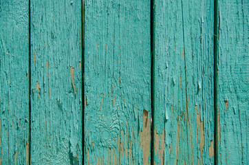 Fototapeta na wymiar Wooden green background. Old painted wall