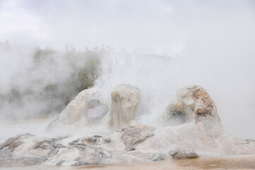 Geothermal feature, Yellowstone National Park, Wyoming, USA