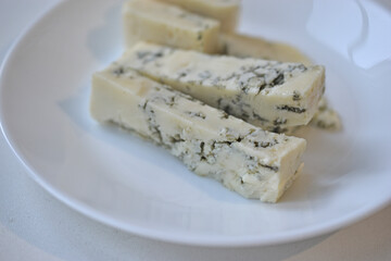 White cheese with blue mold on a plate