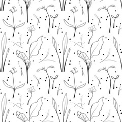 Seamless pattern with corn, dill, kale sprouts background. Sketch microgreen seeds vector illustration.