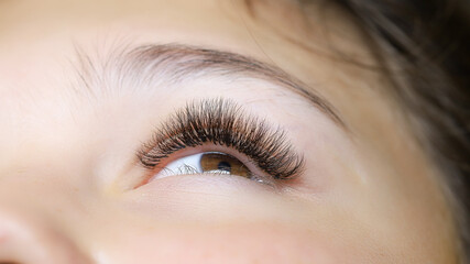 Obraz premium eye with extended eyelashes close-up of a chic curl