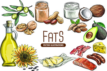Fats Collection of vector hand-drawn illustrations! 