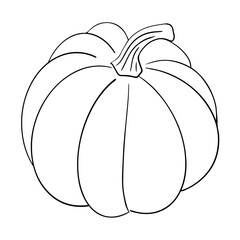 Pumpkin vector illustration in black outline isolated on white background. Simple hand drawn sketch autumn harvest decorative design element vegetable silhouette