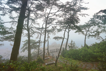 Foggy morning in a public park near the sea in Busan