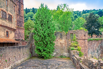 An abandoned place in the ruins of an old castle.