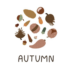 Pretty autumn mood card with hand-drawn text - Autumn. Round composition with chestnuts, acorns, cones. Vector illustration isolated on white background.