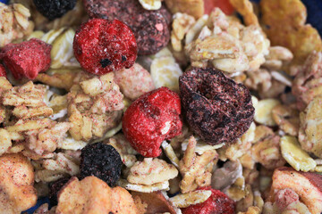 Macro closeup of muesli with oats crunchy flakes, sunflower seeds, dried craneberries and blueberries