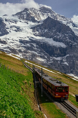 Obraz na płótnie Canvas Jungfrau Bahncog-wheel with Mountain View of Eiger Monch and Jungfrau in Sunny day travels on Jungfrau Railway from Jungfraujoch (top of Europe) to Kleine Scheidegg on a grassy hillside
