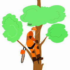 An arborist with a saw climbs a tree.