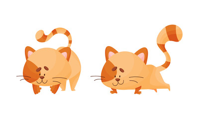 Cartoon Cat with Striped Tail Standing in Yoga Pose Vector Set