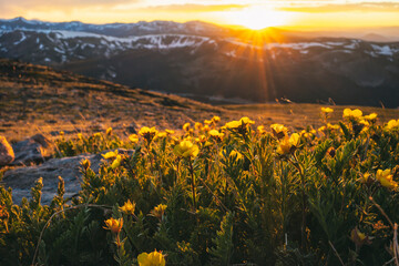 Sunset in the James Peak Wilderness, Colorado, USA