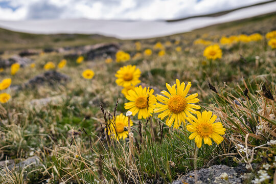 Old Man of the Mountain, Colorado, USA