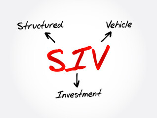 SIV - Structured Investment Vehicle acronym, business concept background