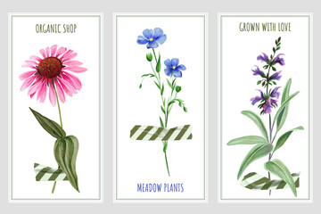Three vertical banners with wild flowers and tape