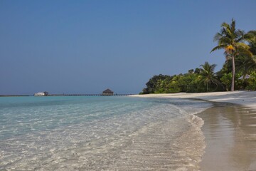 Beautiful Shore of Maldivian Sandy Beach with Calm Turquoise Ocean. Lacadive Sea with Idyllic Beach in Maldives.
