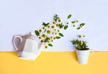 Creative layout with tea pot pouring fresh chamomile flowers and  mint leaves into tea cup on pastel blue background. Creative herbal tea concept. Flat lay.
