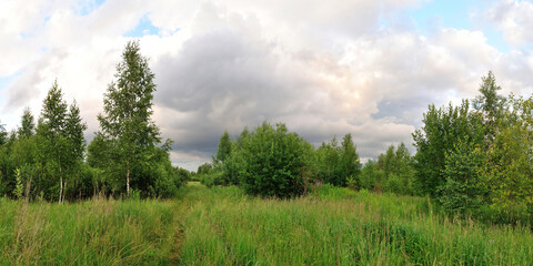 A summer walk through the forest, a beautiful panorama.
