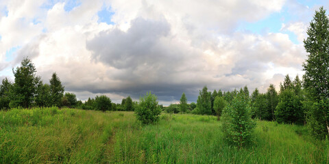 A summer walk through the forest, a beautiful panorama.
