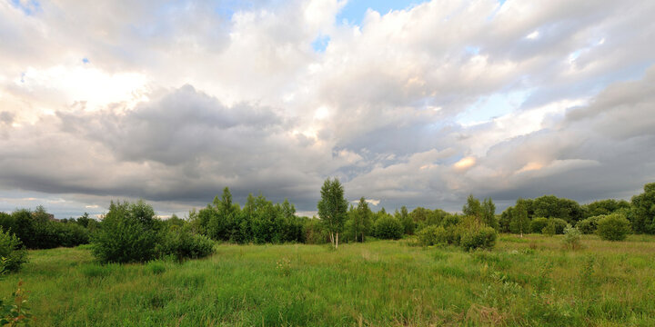 A summer walk through the forest, a beautiful panorama. © Юрий Фатеев