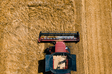 from above of agricultural combine harvests wheat in field in summer on sunny day in sunlight...