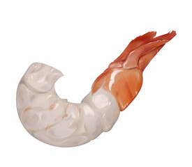 Digital illustration. Peeled shrimp. Crustaceans, a squad of decapods. Marine life. Isolated on a white background.