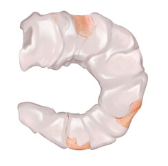 Digital illustration. Peeled shrimp. Crustaceans, a squad of decapods. Marine life. Isolated on a white background.