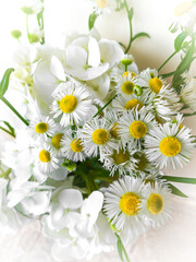 bouquet of daisies