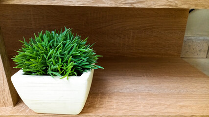 indoor decorative potted grass closeup wooden shelf artificial decor idea