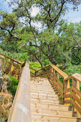 Fototapeta premium A tourist trail with a wooden staircase. Leisure