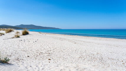 The wonderful white sand dunes of Porto Pino in Sardinia, Italy. Wild and uncontaminated environment. Tourist destination. Wonders of nature. Still life with dry plant trunks