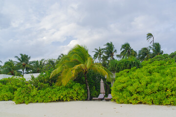the sandy coast of a coral island in the Indian Ocean